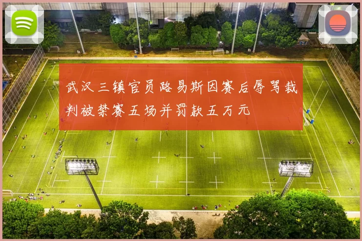 武汉三镇官员路易斯因赛后辱骂裁判被禁赛五场并罚款五万元